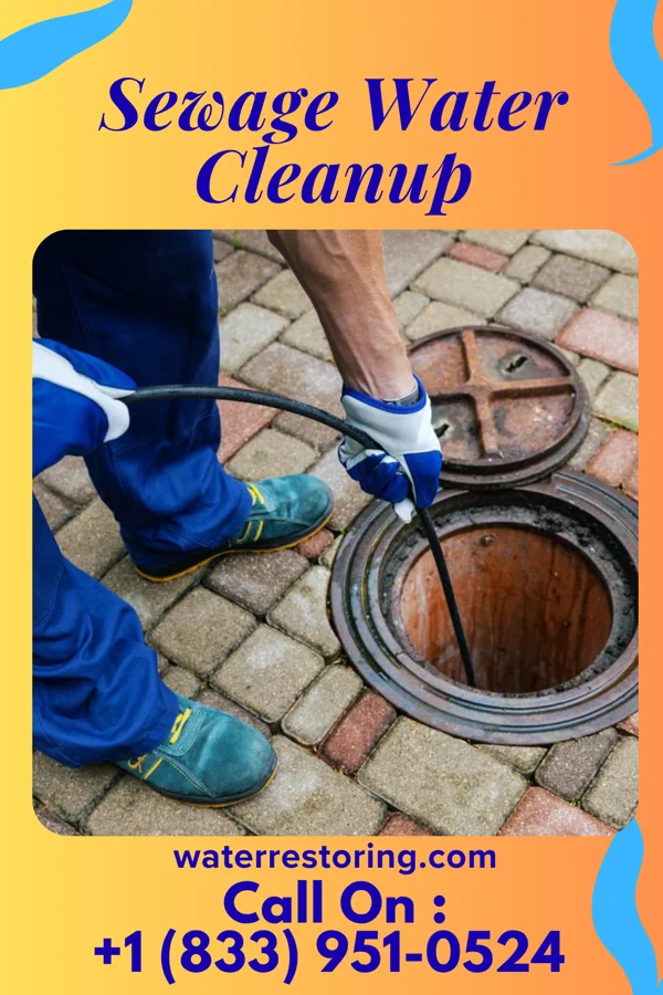 Sewage Water Cleanup in Lyman, MS
